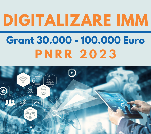 DigitalizareIMM